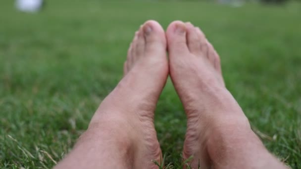 Feet Man Green Grass — Stock Video