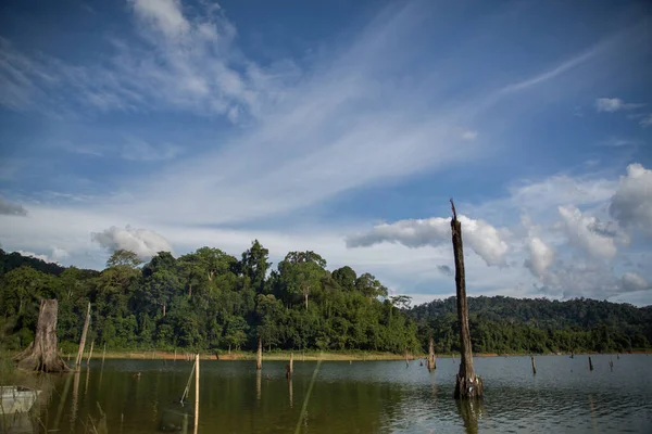 Uma Vista Panorâmica Lago Floresta Durante Tempo Ensolarado — Fotografia de Stock