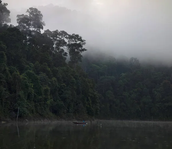 Una Vista Panorámica Hermoso Lago Bosque Durante Tiempo Niebla — Foto de Stock