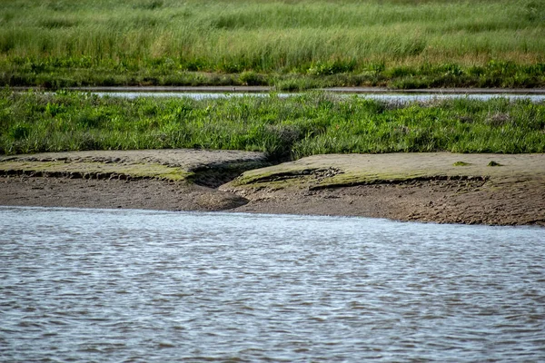 Río Que Fluye Través Del Campo Verde —  Fotos de Stock