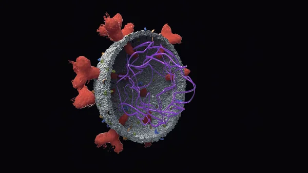 Eine Illustration Der Covid Virus Dna — Stockfoto