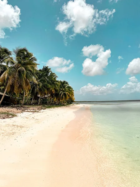 Plano Vertical Una Playa Rodeada Palmeras Mar Bajo Luz Del — Foto de Stock