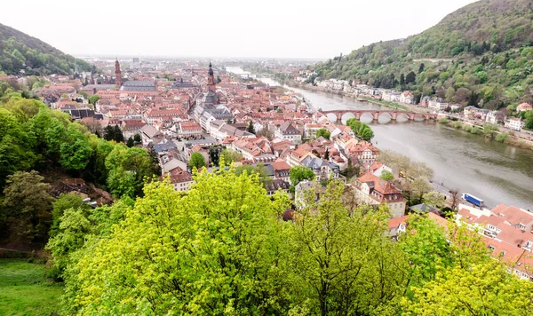 Heidelberg Almanya Nın Güzel Bir Manzarası — Stok fotoğraf