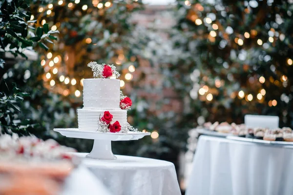 Primer Plano Pastel Bodas Aire Libre Con Árboles Luces Con — Foto de Stock