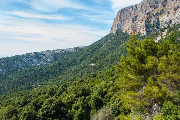 Uma Paisagem Serra Tramuntana Espanha — Fotografia de Stock