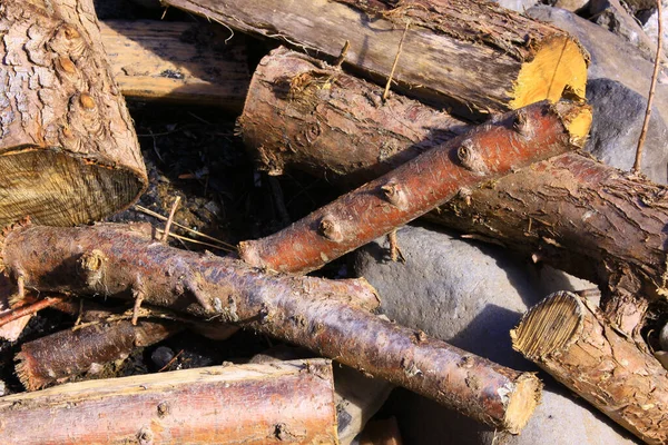 Una Toma Alto Ángulo Ramas Ramas Árboles — Foto de Stock