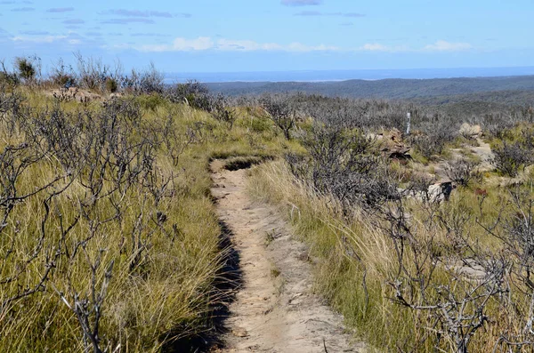 Utsikt Över Landsbygden Medan Butterbox Walking Trail Nära Mount Hay — Stockfoto