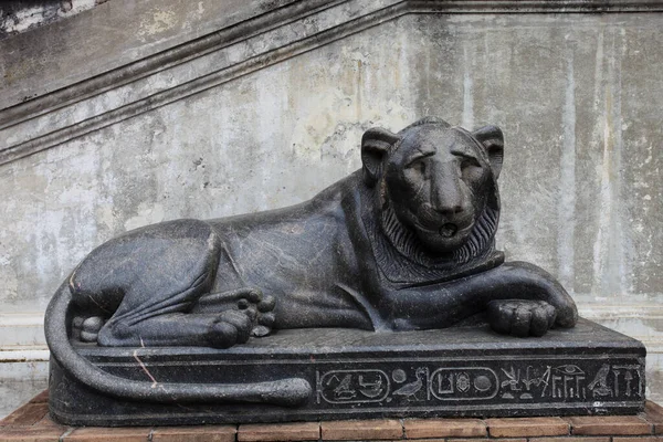 Escultura Leão Pátio Pigna Vaticano Roma Itália — Fotografia de Stock