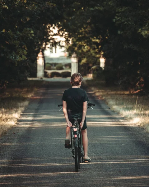 Back View Young Boy Riding Bicycle Hands Forest Road Sunset — Zdjęcie stockowe