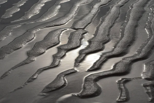 Tiro Monocromático Textura Das Marés Lamas Costeiras Húmidas — Fotografia de Stock