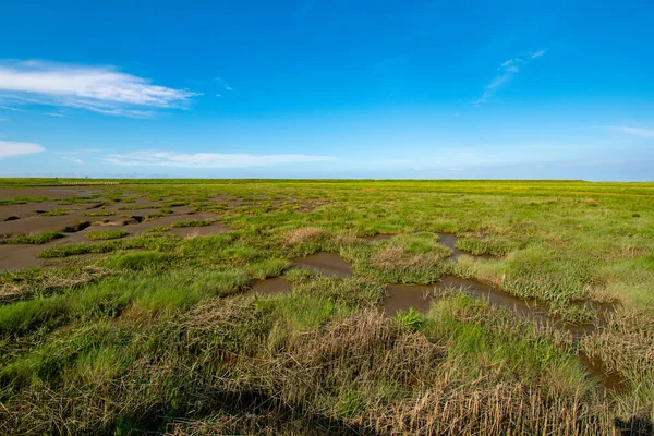 Une Belle Vue Sur Zone Humide Ciel Bleu — Photo