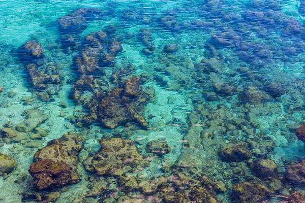 Coralli Sotto Mare Azzurro Cala Ratjada Maiorca Spagna — Foto Stock
