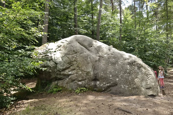 Fontainebleau Γαλλια Ιουν 2015 Ένα Παράξενο Σχήμα Αμμόλιθου Κύκλωμα Ογκόλιθου — Φωτογραφία Αρχείου