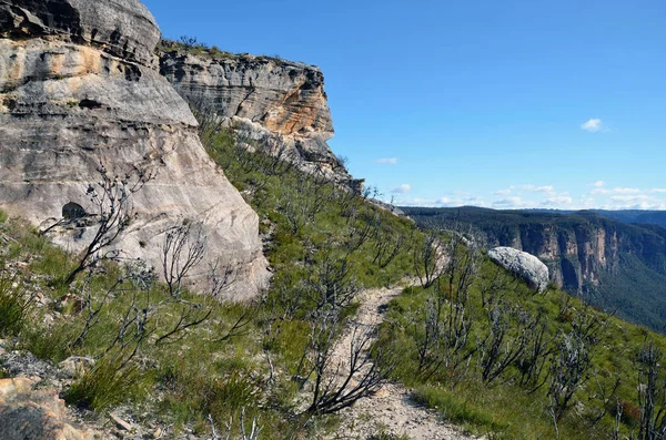 Uma Vista Sobre Trilha Caminhada Butterbox Nas Montanhas Azuis Oeste — Fotografia de Stock