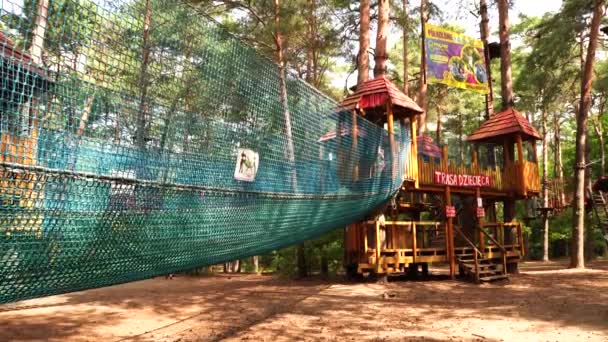 Happy Kids Playing Amusement Park Forest — Video