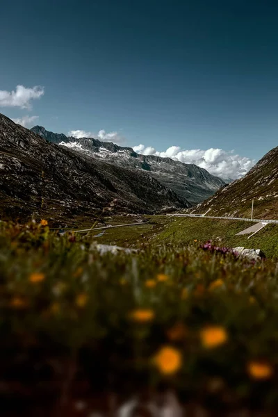 Tiro Vertical Prados Selvagens Montanhas Rochosas Sob Céu Brilhante — Fotografia de Stock