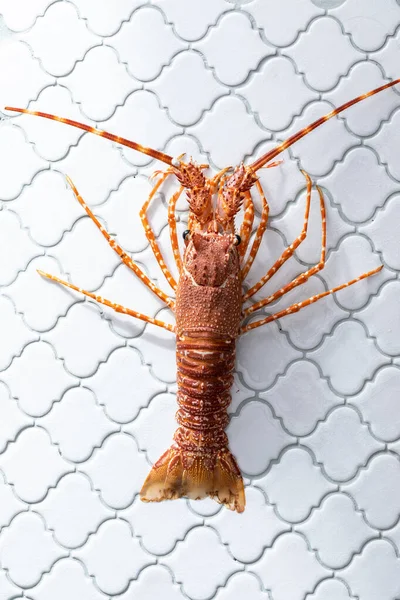 Top View Uncooked Red Swamp Crayfish Kitchen Table — Stock Photo, Image
