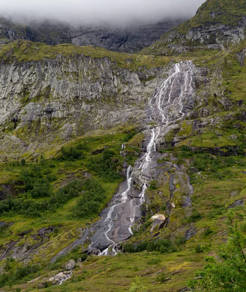 緑の植物で覆われた美しい滝や岩の垂直ショット ノルウェーのロフテン島 — ストック写真