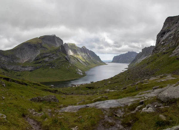 Gyönyörű Kilátás Nyílik Hegyekre Lofoten Szigetek Norvégia — Stock Fotó