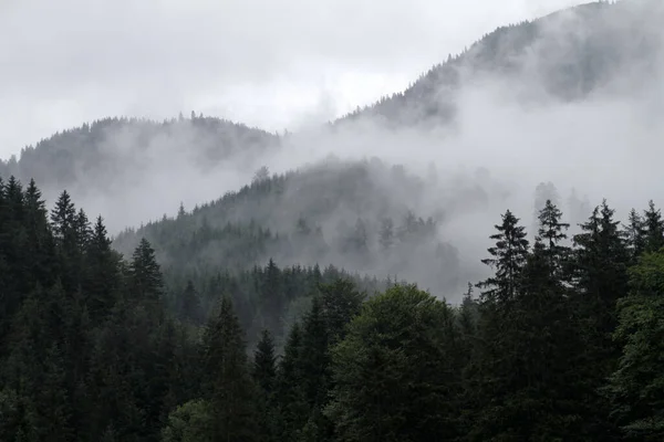 Bel Colpo Nuvole Nebbiose Sulle Montagne — Foto Stock