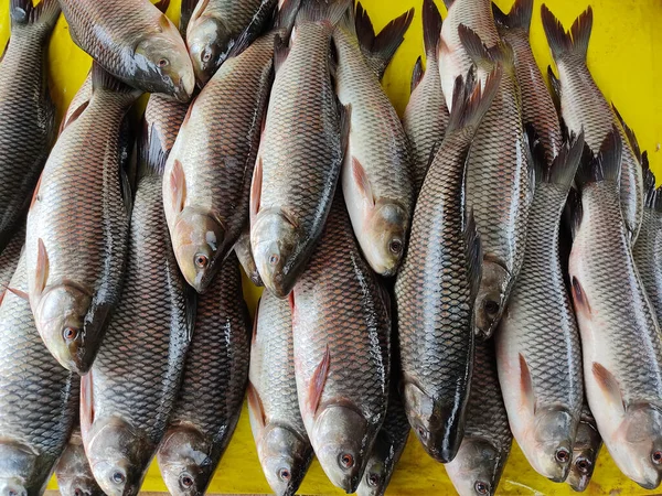 Closeup Shot Fresh Fish Farmers Market Stall — Stockfoto