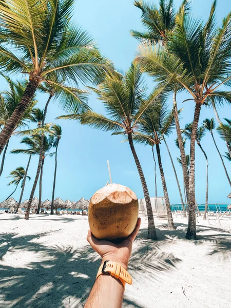 ヤシの木があるビーチの背景に ストロー付きのココナッツを持つ手 — ストック写真
