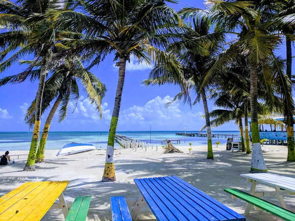 Palm Trees Sand Beach Sea — Stock Photo, Image
