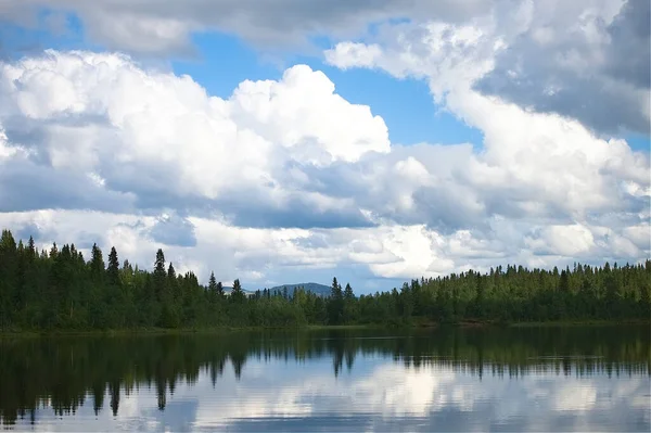 湖に映る曇り空の下の緑の木々の魅惑的な風景 — ストック写真