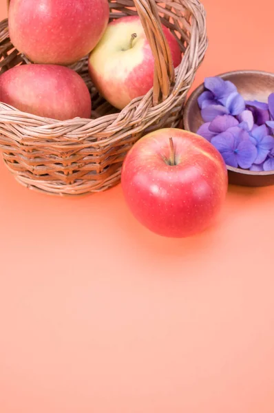 Вертикальный Снимок Свежих Яблок Фиолетовых Цветов Гортензии Изолированы Розовом Фоне — стоковое фото