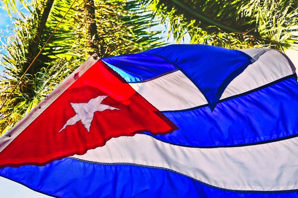 Waving Cuba National Flag Palm Tree Background — Stock Photo, Image