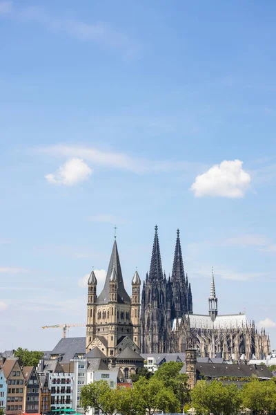 Vertikal Bild Köln Katedralen Torn Klar Solig Dag — Stockfoto