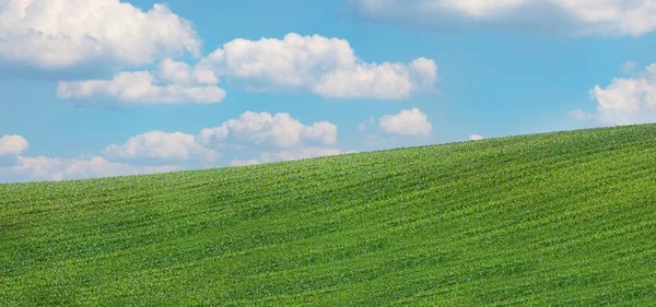 Una Vista Panorámica Paisaje Verde Bajo Cielo Azul Nublado —  Fotos de Stock