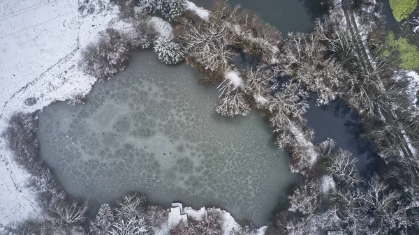 Vue Aérienne Étang Gelé Dans Les Bois — Photo