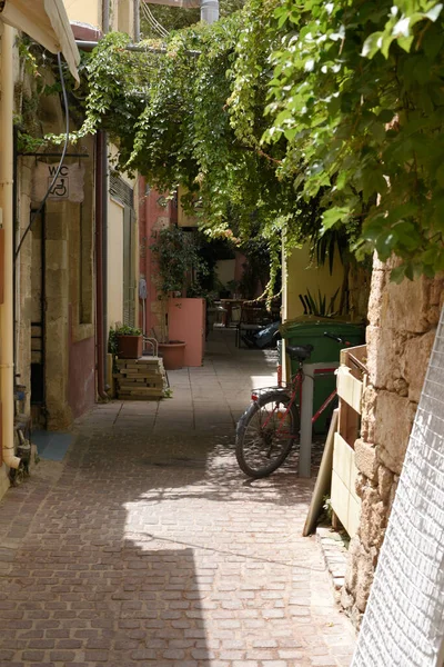 Vertical Shot Cobbled Street Narrow Alleyway Lovely Green Trees Glowing — Stock Photo, Image