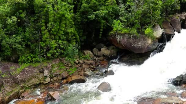 Cascade Dans Forêt Eau Rivière Avec Une Petite Pierre Verte — Video