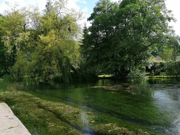 Uma Bela Vista Lago Calmo Cercado Por Árvores Verdes Frescas — Fotografia de Stock