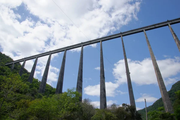 Puente Viaducto Rodeado Árboles Día Nublado —  Fotos de Stock