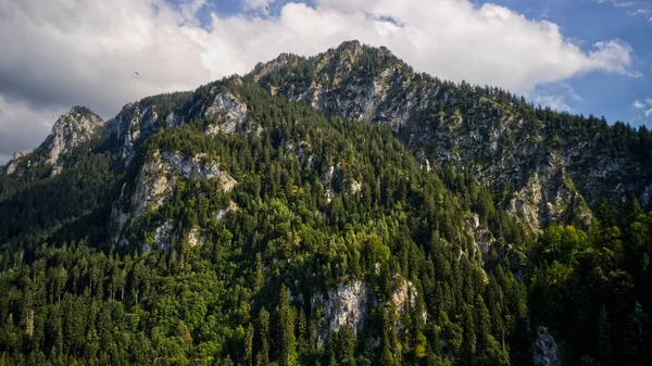 Ein Felsiger Berg Bedeckt Von Dichten Wäldern — Stockfoto