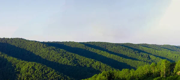 Зеленый Пейзаж Холмах Долинах — стоковое фото