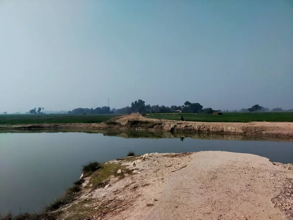 Een Landschap Wildernis Een Zonnige Dag — Stockfoto