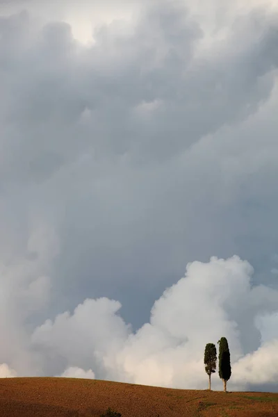 Plan Vertical Cyprès Sur Colline Sous Ciel Nuageux Spectaculaire Toscane — Photo