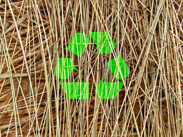 Zielona Ikona Recyklingu Odizolowana Stosu Trzciny — Zdjęcie stockowe