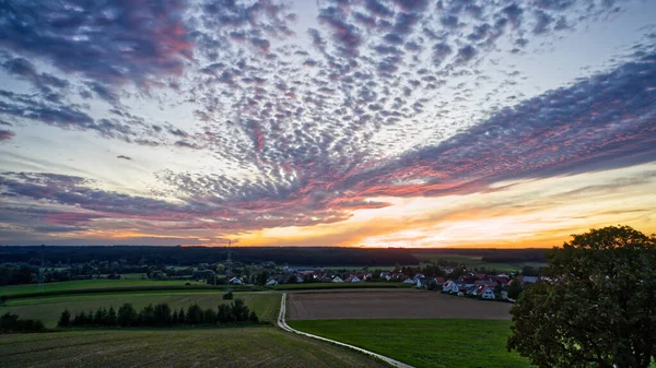 Een Luchtfoto Van Groene Velden Bossen Bij Zonsondergang — Stockfoto