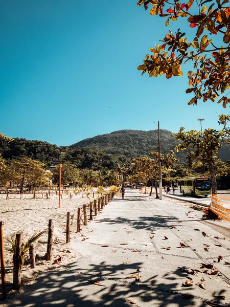 Vertical Shot Wooden Posts Sandy Beach Paved Path — Stock Photo, Image