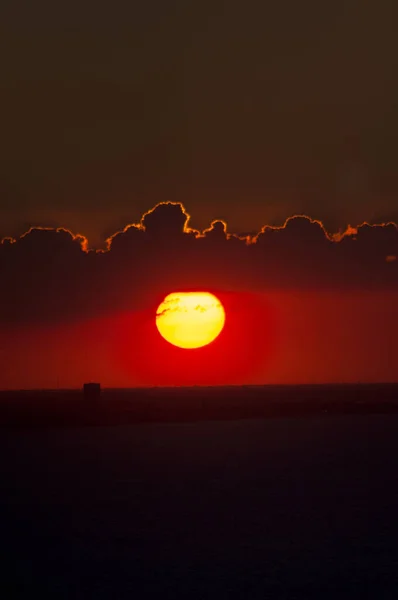 Tiro Vertical Mar Adriático Durante Pôr Sol Cênico Parque Estadual — Fotografia de Stock