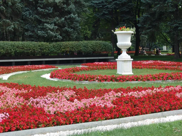 Beautiful Garden Blooming Red Pink Flowers — Stock Photo, Image