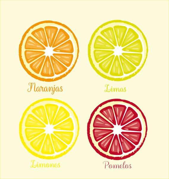 Illustration Graphic Image Citrus Fruits Slice Light Yellow Background — Stock Photo, Image