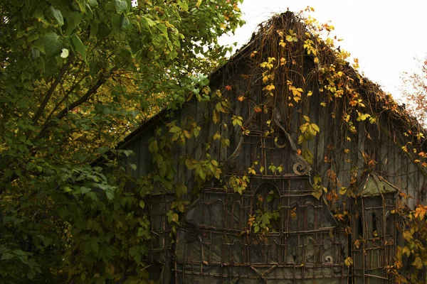 Ein Altes Holzhaus Überwuchert Mit Bunten Blättern — Stockfoto