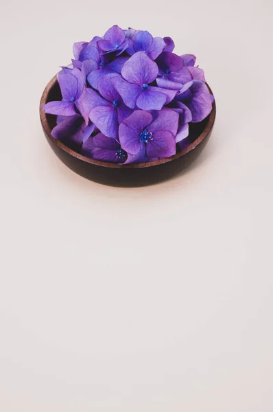 Bunch Hydrangea Flowers Wooden Bowl Isolated Purple Background Copyspace — Stock Photo, Image
