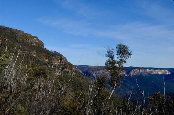 Uma Vista Das Montanhas Azuis Oeste Sydney Partir Mount Banks — Fotografia de Stock